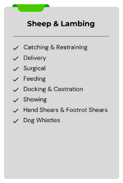 Farm Landing Page section 2 Sheep Lambing-212
